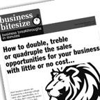 How to double, treble or quadruple the sales opportunities for your business with little or no cost...