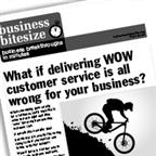 What if delivering WOW customer service is all wrong for your business?